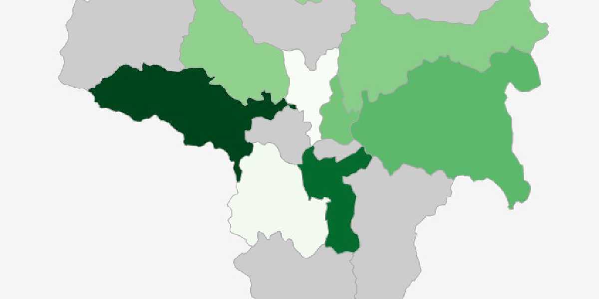 영천시 가로수 탄소흡수량
